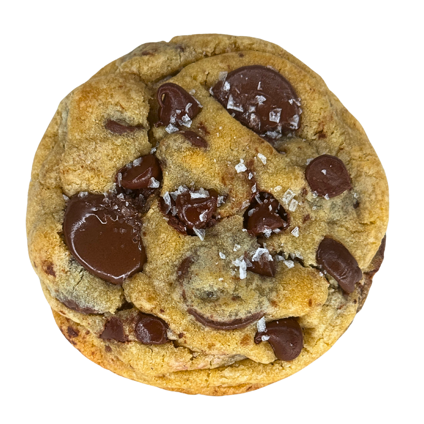 Chocolate Chip